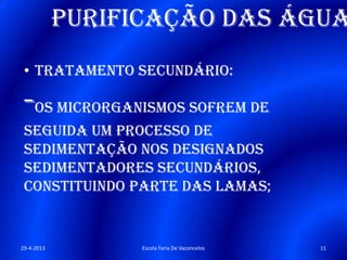 Purificação das água
• Tratamento secundário:
-Os microrganismos sofrem de
seguida um processo de
sedimentação nos designados
sedimentadores secundários,
constituindo parte das lamas;
29-4-2013 11Escola Faria De Vaconcelos
 