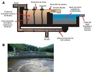 29-4-2013 12Escola Faria De Vaconcelos
 