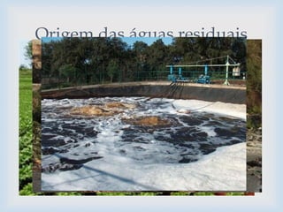 
 Actividades Humanas:
– Processos industriais;
– Esgotos;
– Águas lixiviastes;
– Agricultura intensiva;
Origem das águas residuais
 