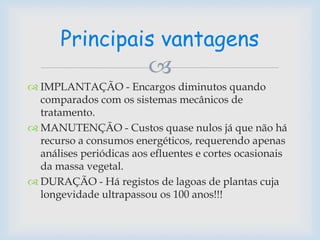 
 IMPLANTAÇÃO - Encargos diminutos quando
comparados com os sistemas mecânicos de
tratamento.
 MANUTENÇÃO - Custos quase nulos já que não há
recurso a consumos energéticos, requerendo apenas
análises periódicas aos efluentes e cortes ocasionais
da massa vegetal.
 DURAÇÃO - Há registos de lagoas de plantas cuja
longevidade ultrapassou os 100 anos!!!
Principais vantagens
 