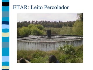 ETAR: Leito Percolador
 