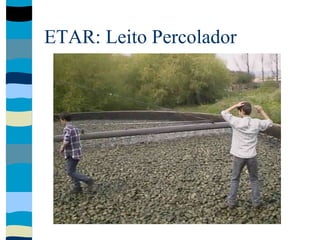 ETAR: Leito Percolador
 