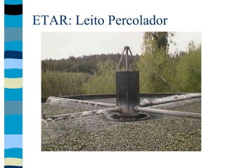 ETAR: Leito Percolador
 
