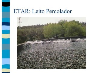 ETAR: Leito Percolador
 