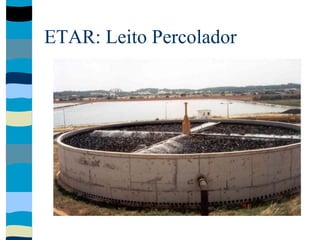 ETAR: Leito Percolador
 