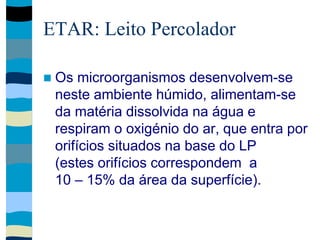 ETAR: Leito Percolador
 Os microorganismos desenvolvem-se
neste ambiente húmido, alimentam-se
da matéria dissolvida na água e
respiram o oxigénio do ar, que entra por
orifícios situados na base do LP
(estes orifícios correspondem a
10 – 15% da área da superfície).
 