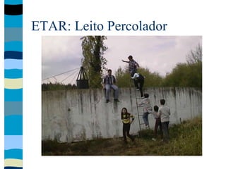 ETAR: Leito Percolador
 