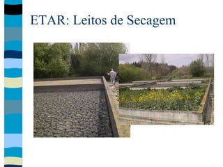 ETAR: Leitos de Secagem
 