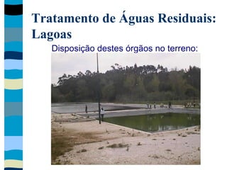 Tratamento de Águas Residuais:
Lagoas
Disposição destes órgãos no terreno:
 