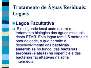 Tratamento de Águas Residuais:
Lagoas
 Lagoa Facultativa
 É o segundo local onde ocorre o
tratamento biológico das águas residuais
desta ETAR. Esta lagoa tem 1,5 metros de
profundidade, o que permite o
desenvolvimento das bactérias
anaeróbias no fundo, das bactérias
aeróbias (e algas) na superfície e das
bactérias facultativas na zona
intermédia.
 