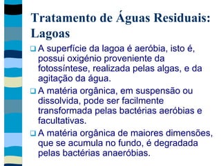 Tratamento de Águas Residuais:
Lagoas
 A superfície da lagoa é aeróbia, isto é,
possui oxigénio proveniente da
fotossíntese, realizada pelas algas, e da
agitação da água.
 A matéria orgânica, em suspensão ou
dissolvida, pode ser facilmente
transformada pelas bactérias aeróbias e
facultativas.
 A matéria orgânica de maiores dimensões,
que se acumula no fundo, é degradada
pelas bactérias anaeróbias.
 
