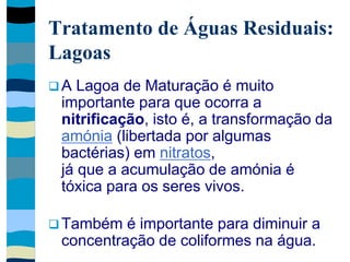 Tratamento de Águas Residuais:
Lagoas
 A Lagoa de Maturação é muito
importante para que ocorra a
nitrificação, isto é, a transformação da
amónia (libertada por algumas
bactérias) em nitratos,
já que a acumulação de amónia é
tóxica para os seres vivos.
 Também é importante para diminuir a
concentração de coliformes na água.
 