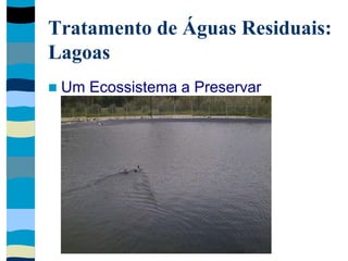 Tratamento de Águas Residuais:
Lagoas
 Um Ecossistema a Preservar
 