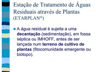 Estação de Tratamento de Águas
Residuais através de Plantas
(ETARPLAN®)
 A água residual é sujeita a uma
decantação (sedimentação), em fossa
séptica ou IMHOFF, antes de ser
lançada num terreno de cultivo de
plantas (fitocomunidade emergente ou
biótopo).
 