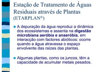 Estação de Tratamento de Águas
Residuais através de Plantas
(ETARPLAN®)
 A depuração da água reproduz a dinâmica
dos ecossistemas e assenta na digestão
microbiana aeróbia e anaeróbia, em
interacção com factores abióticos: ocorre
quando a água atravessa o espaço
envolvente das raízes das plantas.
 Algumas plantas, como os juncos, têm a
capacidade de acumular metais pesados.
 