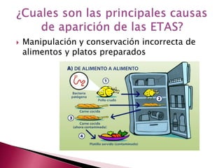  Manipulación y conservación incorrecta de
alimentos y platos preparados
 