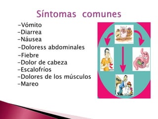 -Vómito
-Diarrea
-Náusea
-Doloress abdominales
-Fiebre
-Dolor de cabeza
-Escalofríos
-Dolores de los músculos
-Mareo
 