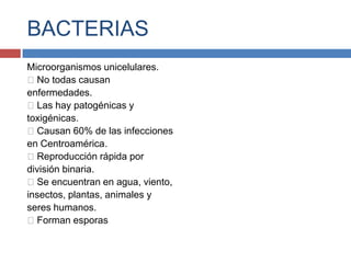 BACTERIAS
Microorganismos unicelulares.
No todas causan
enfermedades.
Las hay patogénicas y
toxigénicas.
Causan 60% de las infecciones
en Centroamérica.
Reproducción rápida por
división binaria.
Se encuentran en agua, viento,
insectos, plantas, animales y
seres humanos.
Forman esporas
 