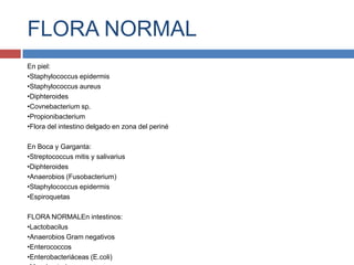FLORA NORMAL
En piel:
•Staphylococcus epidermis
•Staphylococcus aureus
•Diphteroides
•Covnebacterium sp.
•Propionibacterium
•Flora del intestino delgado en zona del periné
En Boca y Garganta:
•Streptococcus mitis y salivarius
•Diphteroides
•Anaerobios (Fusobacterium)
•Staphylococcus epidermis
•Espiroquetas
FLORA NORMALEn intestinos:
•Lactobacilus
•Anaerobios Gram negativos
•Enterococcos
•Enterobacteriáceas (E.coli)
 