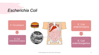 Escherichia Coli
E. Coli patógena
E. Coli
enterohemorragica
Enfermedades de trasmisión alimentaria 9
E. Coli
enteroinvasiva
E. Coli
enterotoxigenica
 