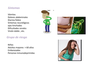 Síntomas
Vómitos
Dolores abdominales
Diarrea fiebre
Síntomas neurológicos
ojos hinchados
Dificultades renales
Visión doble , etc.
Grupo de riesgo
Niños
Adultos mayores > 60 años
Embarazadas
Personas inmunodeprimidas
 