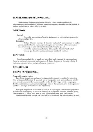 PLANTEAMIENTO DEL PROBLEMA

       En los distintos alimentos que consume el hombre existen grandes cantidades de
microorganismos, éstos pueden ser dañinos si los alimentos no son elaborados con altas medidas de
higiene; produciendo así graves daños en la salud.

OBJETIVOS

     General:
            • Comprobar la existencia de bacterias (patógenas ó no patógenas) presentes en los
       alimentos adquiridos.
    Específicos
            • Realizar diferentes muestreos de alimentos “de la calle”, realizar cultivos en medios
       generales e identificar las bacterias presentes; para después realizar cultivos con medios
       más específicos y así tener una mayor certeza de las bacterias que son.
            • Comprobar la existencia de bacterias dañinas en los alimentos “de la calle”.
            • Conocer que alimentos contienes una mayor cantidad de bacterias.

HIPÓTESIS
       Los alimentos adquiridos en la calle nos hacen daño por la presencia de microorganismos
(bacterias patógenas), entonces al realizar cultivos de dichos alimentos, se obtendran colonias de
bacterias y podremos saber a que tipo de bacterias pertenecen.

DESARROLLO

DISEÑO EXPERIMENTAL
Preparación para los cultivos
     Para obtener los cultivos, se eligieron los lugares de los cuales se obtendrían los alimentos,
éstos se llevaron al laboratorio de la escuela (sin ser manipulados hasta tener condiciones estériles
en el mismo); con anterioridad se prepararon los medios de cultivo (agar nutritivo y agar agar,
decidimos utilizar medios generales en un principio para ver el crecimiento de los microorganismos
y en base a eso elegir después medios más específicos).

     Con ayuda del profesor, se realizaron los cultivos en cajas de petri y tubos de ensayo (4 tubos
de ensayo y 4 cajas de petri), se realizó un sembrado en zigzag de los siguientes alimentos: bistec,
carne de puerco (2), tortilla, salsa “pico de gallo” (chile verde), limón, salsa verde y nopal.
     Al terminar se sellaron las cajas y se colocaron en la incubadora, con una temperatura de 30°C.




                                                 27
 