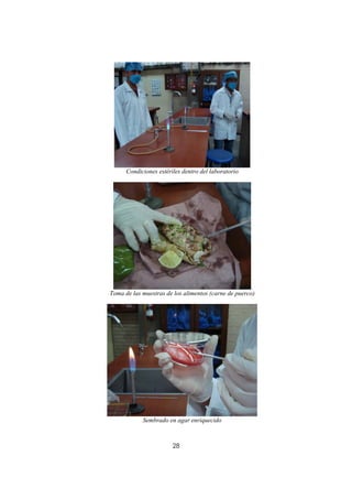Condiciones estériles dentro del laboratorio




Toma de las muestras de los alimentos (carne de puerco)




            Sembrado en agar enriquecido



                        28
 