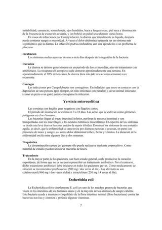 irritabilidad, cansancio, somnolencia, ojos hundidos, boca y lengua secas, piel seca y disminución
de la frecuencia de excreción urinaria, y (en bebés) un pañal seco durante varias horas.
      En casos de infecciones por Campylobacter, la diarrea que inicialmente es líquida, después
puede contener sangre o mucosidad. A veces el dolor abdominal aparenta ser un síntoma más
significativo que la diarrea. La infección podría confundirse con una apendicitis o un problema de
páncreas.

Incubación
    Los síntomas suelen aparecer de uno a siete días después de la ingestión de la bacteria.

Duración
     La diarrea se detiene generalmente en un período de dos a cinco días, aún sin tratamiento con
antibióticos. La recuperación completa suele demorar aproximadamente una semana. En
aproximadamente el 20% de los casos, la diarrea dura más (de tres a cuatro semanas) o es
recurrente.

Contagio
    Las infecciones por Campylobacter son contagiosas. Un individuo que entre en contacto con la
deposición de una persona (por ejemplo, un niño infectado con pañales) o de un animal infectado
(como un perro o un gato) puede contagiarse la infección.

                                    Yersinia enterocolitica
     Las yersinias son bacilos gran negativos con flagelos cortos.
     El periodo de incubación se estima en 3 a 10 días. Las cepas que se cultivan como gérmenes
patógenos en el ser humano.
     Las bacterias llegan al tracto intestinal inferior, perforan la mucosa intestinal y son
transportadas con los macrófagos a los nódulos linfáticos mesentéricos. El espectro de los síntomas
va desde una leve diarrea hasta un cuadro de sepsis tifoidea. Dominan los síntomas de una enteritis
aguda, es decir, que la enfermedad se caracteriza por diarreas pastosas o acuosas, en parte con
presencia de moco y sangre, así como dolor abdominal cólico, fiebre y vómitos. La duración de la
enfermedad oscila entre algunos días y dos semanas.

Diagnóstico
    La determinación certera del germen sólo puede realizarse mediante coprocultivo. Como
material de estudio pueden utilizarse muestras de heces.

Tratamiento
     En la mayor parte de los pacientes con buen estado general, suele producirse la curación
espontánea, de forma que no es necesario prescribir un tratamiento antibiótico. Por el contrario,
dicho tratamiento antibiótico debe iniciarse en todos los pacientes graves. Como medicamento de
elección se recomienda ciprofloxacino (500 mg / dos veces al día). Las alternativas son
cotrimoxazol (960 mg / dos veces al día) y tetraciclinas (250 mg / 4 veces al día).

                                         Escherichia coli

     La Escherichia coli (o simplemente E. coli) es uno de los muchos grupos de bacterias que
viven en los intestinos de los humanos sanos y en la mayoría de los animales de sangre caliente.
Esta bacteria ayuda a mantener el equilibrio de la flora intestinal normal (flora bacteriana) contra las
bacterias nocivas y sintetiza o produce algunas vitaminas.

                                                   7
 