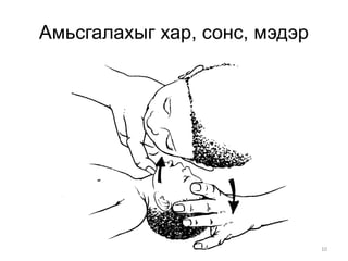 10
Амьсгалахыг хар, сонс, мэдэр
 