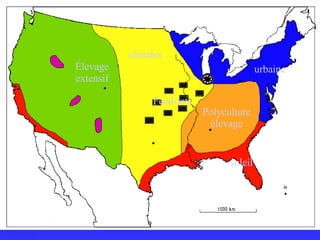 céréales Polyculture élevage urbaine soleil Feed-lots Élevage extensif 