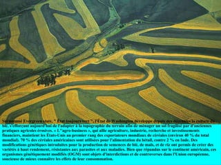 Surnommé Evergreen state, " État toujours vert ", l'État de Washington développe depuis des décennies la culture du blé, s'efforçant aujourd'hui de l'adapter à la topographie du terrain afin de ménager un sol fragilisé par d'anciennes pratiques agricoles érosives. « L''agro-business », qui allie agriculture, industrie, recherche et investissements financiers, maintient les États-Unis au premier rang des exportateurs mondiaux de céréales (environ 40 % du total mondial). 70 % des céréales américaines sont utilisées pour l'alimentation du bétail, contre 2 % en Inde. Des modifications génétiques introduites pour la production de semences de blé, de maïs, et de riz ont permis de créer des variétés à haut rendement, résistantes aux parasites et aux maladies. Bien que répandus sur le continent américain, ces organismes génétiquement modifiés (OGM) sont objets d'interdictions et de controverses dans l'Union européenne, soucieuse de mieux connaître les effets de leur consommation. 