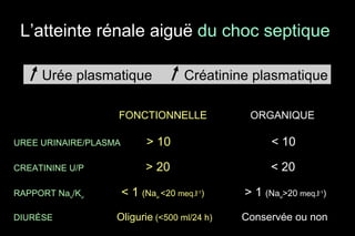 L’atteinte rénale aiguë  du choc septique  FONCTIONNELLE ORGANIQUE UREE URINAIRE/PLASMA   > 10   < 10 CREATININE U/P   > 20   < 20 RAPPORT Na u /K u   < 1  (Na u  <20  meq.l -1 )   > 1  (Na u >20  meq.l -1 ) DIURÈSE   Oligurie  (<500 ml/24 h)   Conservée ou non Urée plasmatique Créatinine plasmatique 