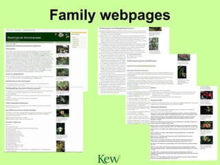 Family webpages 