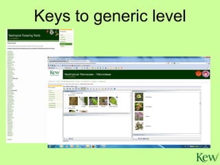 Keys to generic level 