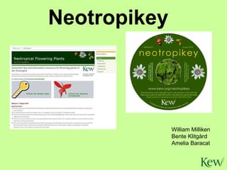 Neotropikey William Milliken Bente Klitgård Amelia Baracat 