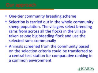 Community-based sheep breeding in Ethiopia: Attractive approach to low input systems