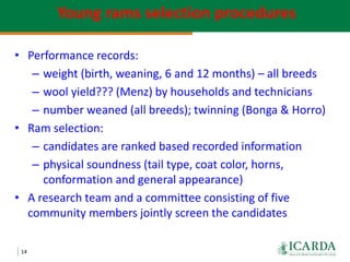 Community-based sheep breeding in Ethiopia: Attractive approach to low input systems