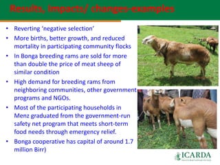 Community-based sheep breeding in Ethiopia: Attractive approach to low input systems