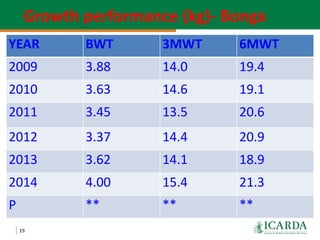 Community-based sheep breeding in Ethiopia: Attractive approach to low input systems