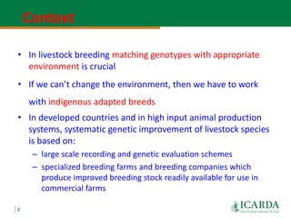 Community-based sheep breeding in Ethiopia: Attractive approach to low input systems