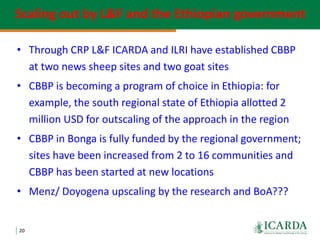 Community-based sheep breeding in Ethiopia: Attractive approach to low input systems