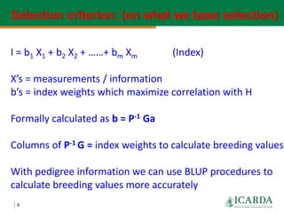 Community-based sheep breeding in Ethiopia: Attractive approach to low input systems