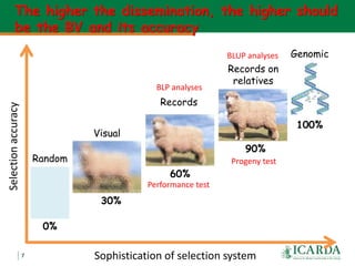 Community-based sheep breeding in Ethiopia: Attractive approach to low input systems