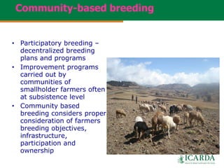 Community-based sheep breeding in Ethiopia: Attractive approach to low input systems