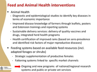 Enabling environment for success of sheep breeding programs