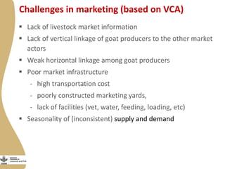 Enabling environment for success of sheep breeding programs