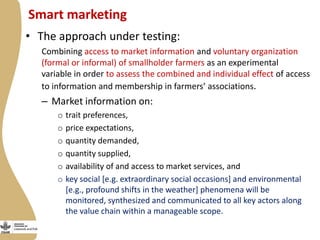 Enabling environment for success of sheep breeding programs