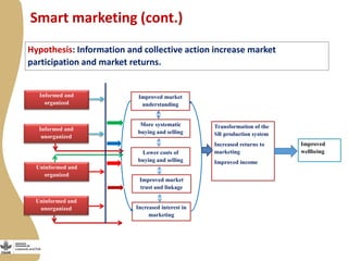 Enabling environment for success of sheep breeding programs