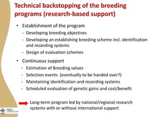 Enabling environment for success of sheep breeding programs
