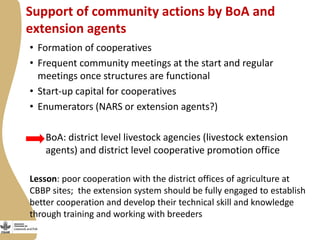 Enabling environment for success of sheep breeding programs